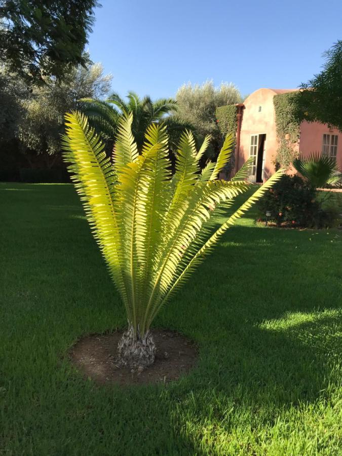 Villa #1 'Rosalie' Marrakesh Luaran gambar