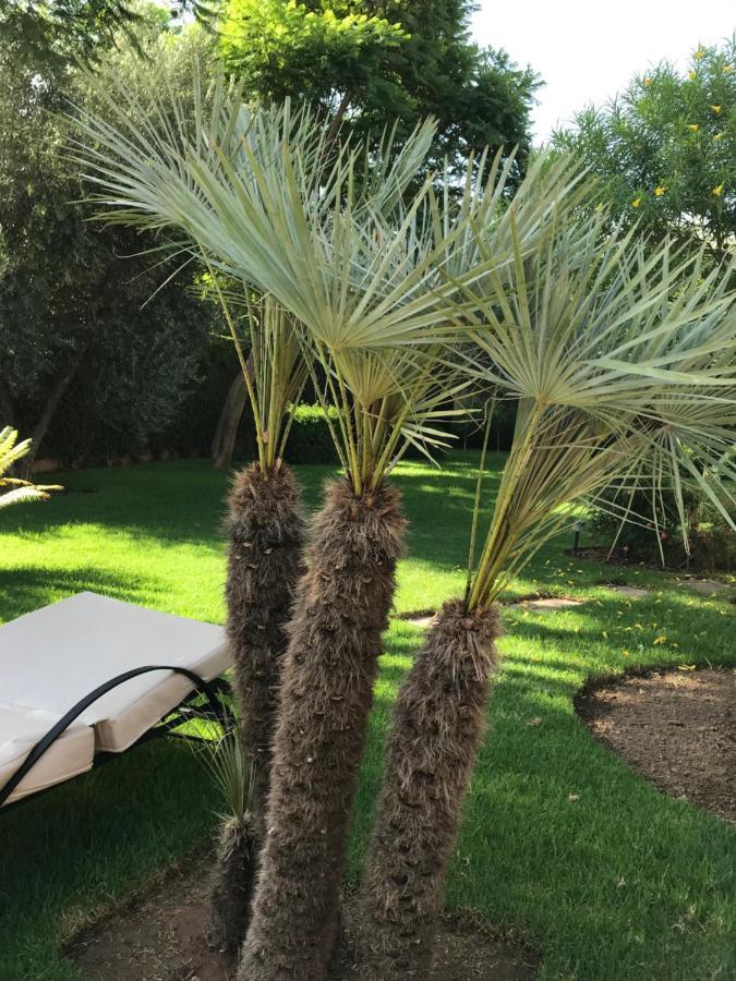 Villa #1 'Rosalie' Marrakesh Luaran gambar